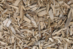 biomass boilers Tolcarne